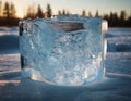 ice captivity Royalty Free Stock Photo