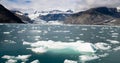 Ice Chunks Dwarfed by Mountains Aialik Glacier Alaska Kenia Fjords Royalty Free Stock Photo