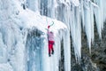 Ice climbing the North Caucasus. Royalty Free Stock Photo