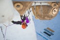 Ice Climbing World Cup Championship Busteni 2010 Royalty Free Stock Photo