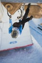 Ice Climbing World Cup Championship Busteni 2010 Royalty Free Stock Photo