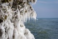 ice coated branches along Lake Michigan shore in extreme sub zero temperatures Royalty Free Stock Photo