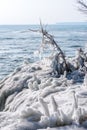 ice coated branches along Lake Michigan shore in extreme sub zero temperatures Royalty Free Stock Photo