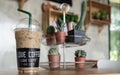 Ice coffee with I love coffee label in a lovely coffee shop green plant decoration.