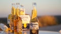 Ice cold corona beer bottle lid by the sunset golden hour light at Thomas Carter Lookout near Exmouth, Western Australia.