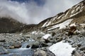 Ice cold Lachung river flowing out of glacier at Yumesamdong, Zero point, Sikkim, India. Altitude of 15,300 feet, last outpost of Royalty Free Stock Photo