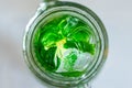 Ice cold mint water in jug Royalty Free Stock Photo