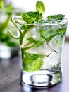 Ice cold mojito cocktail