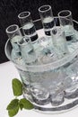 Ice Cold Russian Vodka Shots Royalty Free Stock Photo