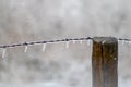 Ice covered barb wire fence and wooden post Royalty Free Stock Photo