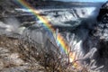 Ice Covered Bushes and Rainbow at the Impressive Gullfoss Falls, Iceland