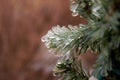 Ice covered green garland