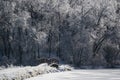 Ice-covered landscape in Iowa