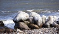 Danish coastline winter landscape with ice on the rocks.. Royalty Free Stock Photo
