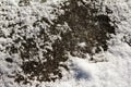 Ice covered with snow background white. Winter day, season of cold weather. Royalty Free Stock Photo