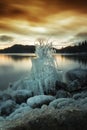 Ice covered tree and shore of Jonsvatnet lake in Norway