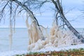 Ice Covered Trees at Lake Michigan Royalty Free Stock Photo