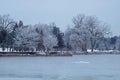 Ice Covered Trees Line The Shore Of Lake Erie