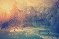 Ice Covered Trees and Park Bench Royalty Free Stock Photo