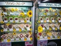 Ice Cream Advertising in Tokyo, Japan