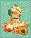 Apricot ice cream scoop in cone. Vector sketch illustration. Fruit ice cream idea, concept