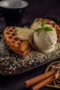 Ice cream with belgian waffles, fresh mint, vanila topping and cinnamon