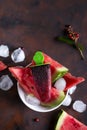 Ice cream berry watermelon Royalty Free Stock Photo