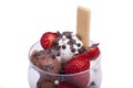 Ice cream bowl Royalty Free Stock Photo