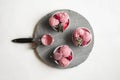 Ice cream in bowls. Scoop of raspberries ice cream and frozen fruits Royalty Free Stock Photo