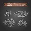 Chocolate. Set of cacao products, whole, half and bitten with leaf. Vector illustration. Isolated on blackboard Royalty Free Stock Photo