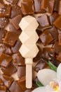 Ice cream on Caramel Cubes Pieces background. popsicle. molecular kitchen. ice cream on a stick. ice cream made with nitrogen