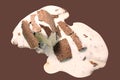 Ice cream in chocolate isolated on brown background close up Royalty Free Stock Photo