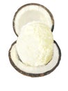 Ice-cream in coconut Royalty Free Stock Photo