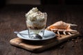 Ice cream with coffee, Affogato al Caffe Frappe with shell on the dark table.