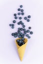 Ice cream cone with blueberries. Blueberry icecream