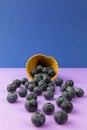 Ice cream cone with blueberries. Blueberry icecream