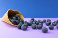 Ice cream cone with blueberries. Blueberry icecream