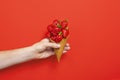 Ice cream cone filled with ripe strawberries isolated on red background. Hand holding Waffle cone with ripe strawberries Royalty Free Stock Photo