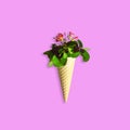 Ice Cream Cone With Flowers. Creative Still Life