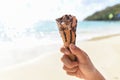 Ice cream cone in hand with sea background - Melting ice cream on beach in summer hot weather ocean landscape nature outdoor