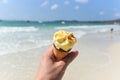 Ice cream cone in hand with sea background / Melting ice cream on beach in summer hot weather ocean landscape nature outdoor