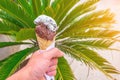 Ice cream cone held in his hand on a hot summer day on the background of a lush green palm Royalty Free Stock Photo