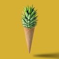 Ice cream cone with pineapple leaves