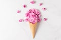 Ice cream cone of pink cherry blossom flowers in waffle cone on white marble background. flat lay. top view Royalty Free Stock Photo