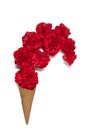 Ice cream cone with red carnations flowers. Royalty Free Stock Photo