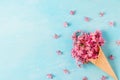 Ice cream cone with spring blossom pink cherry or sakura flowers on blue background with copy space. flat lay Royalty Free Stock Photo