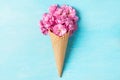 Ice cream cone with spring blossom pink cherry or sakura flowers on blue background. Minimal spring concept. Flat lay Royalty Free Stock Photo
