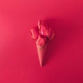 Ice cream cone with tulip flowers. Minimal spring concept. Flat lay. Monochromatic red Royalty Free Stock Photo