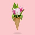 Ice cream cone with tulip flowers on pink background. Royalty Free Stock Photo