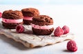 Ice cream cookies sandwiches